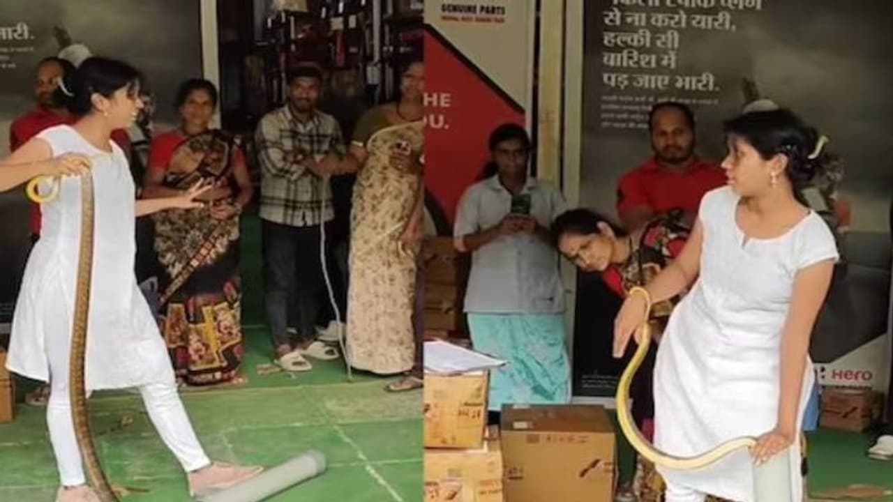 ഈ വീഡിയോ പാമ്പിനെ പേടിയുള്ളവർക്ക് പറഞ്ഞതല്ല! ഈ വീഡിയോ പാമ്പിനെ പേടിയുള്ളവർക്ക് പറഞ്ഞതല്ല!