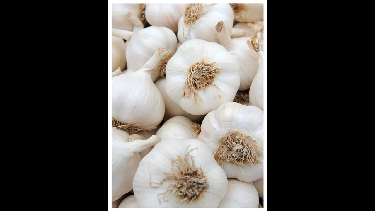 ಗಗನಕ್ಕೇರಿದ ಬೆಳ್ಳುಳ್ಳಿ ಬೆಲೆ, ಹಲವೆಡೆ ಕೆಜಿಗೆ 400ರೂ. ಗಗನಕ್ಕೇರಿದ ಬೆಳ್ಳುಳ್ಳಿ ಬೆಲೆ, ಹಲವೆಡೆ ಕೆಜಿಗೆ 400ರೂ.