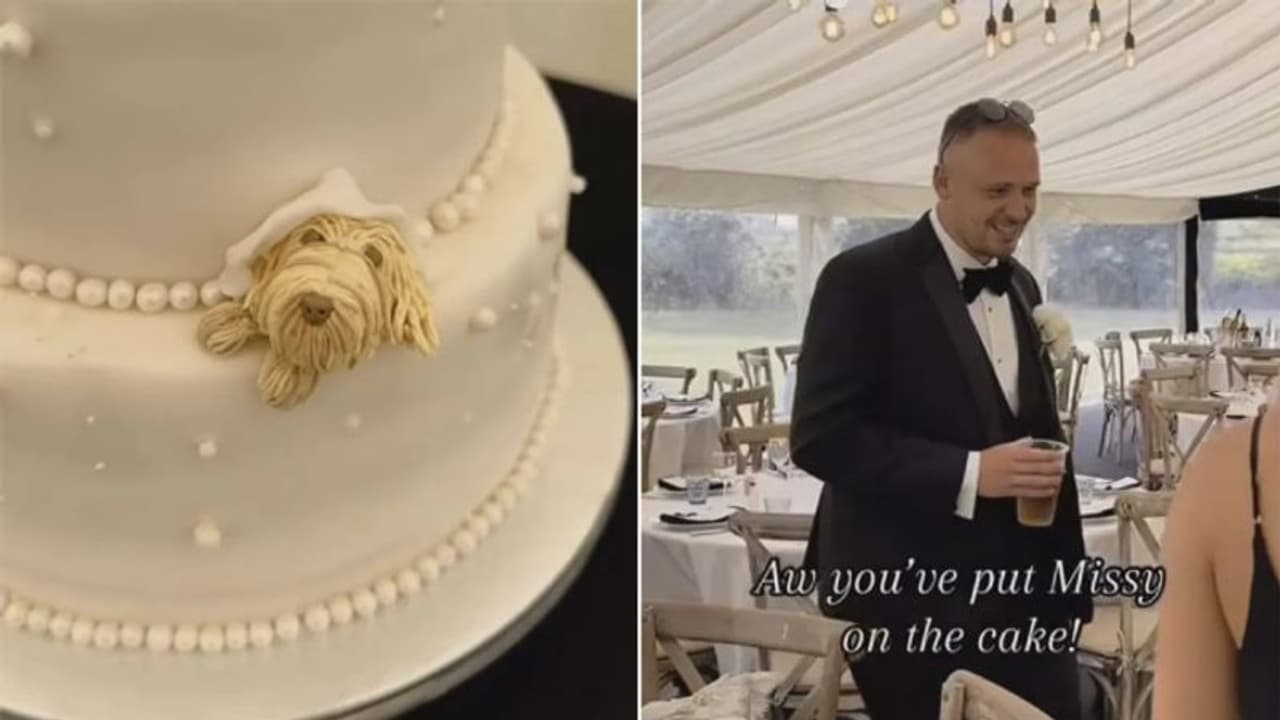 വെഡിംഗ് കേക്കില് വരന് 'സര്പ്രൈസ്' ഒരുക്കി വധു; വീഡിയോ... വെഡിംഗ് കേക്കില് വരന് 'സര്പ്രൈസ്' ഒരുക്കി വധു; വീഡിയോ...