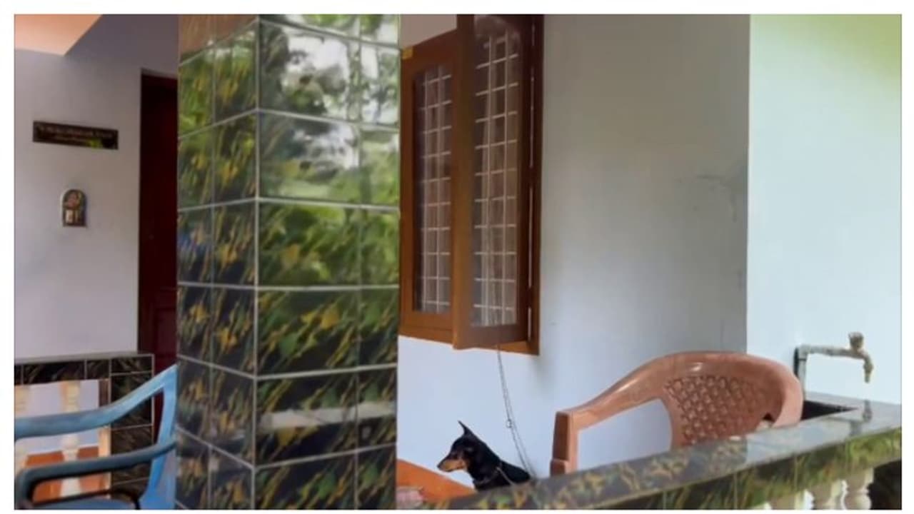 ജപ്തി നോട്ടീസിന് പിന്നാലെ ആത്മഹത്യാ ശ്രമം; കൊരട്ടി കാതിക്കുടത്ത് മൂന്നംഗ കുടുംബം അവശനിലയിൽ ജപ്തി നോട്ടീസിന് പിന്നാലെ ആത്മഹത്യാ ശ്രമം; കൊരട്ടി കാതിക്കുടത്ത് മൂന്നംഗ കുടുംബം അവശനിലയിൽ