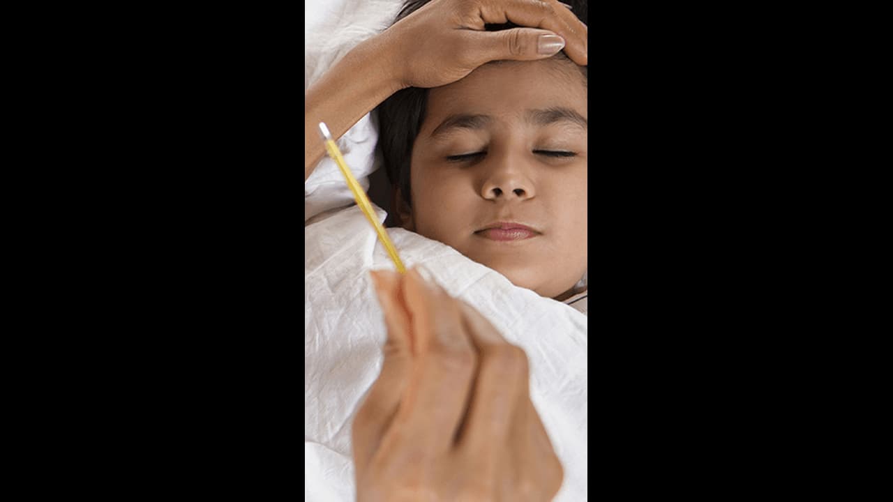 മലമ്പനി; ഗർഭിണികൾക്കും 5 വയസിന് താഴെയുള്ള കുട്ടികൾക്കും വില്ലൻ, എത്രയും വേഗം ചികിത്സ തേടണം: ആരോഗ്യമന്ത്രി മലമ്പനി; ഗർഭിണികൾക്കും 5 വയസിന് താഴെയുള്ള കുട്ടികൾക്കും വില്ലൻ, എത്രയും വേഗം ചികിത്സ തേടണം: ആരോഗ്യമന്ത്രി