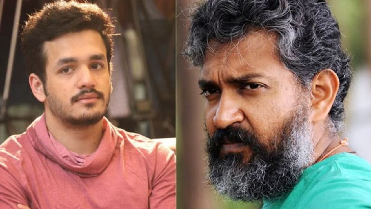 అఖిల్ నెక్ట్స్ స్క్రిప్టు డిస్కషన్స్ లో రాజమౌళి? అఖిల్ నెక్ట్స్ స్క్రిప్టు డిస్కషన్స్ లో రాజమౌళి?