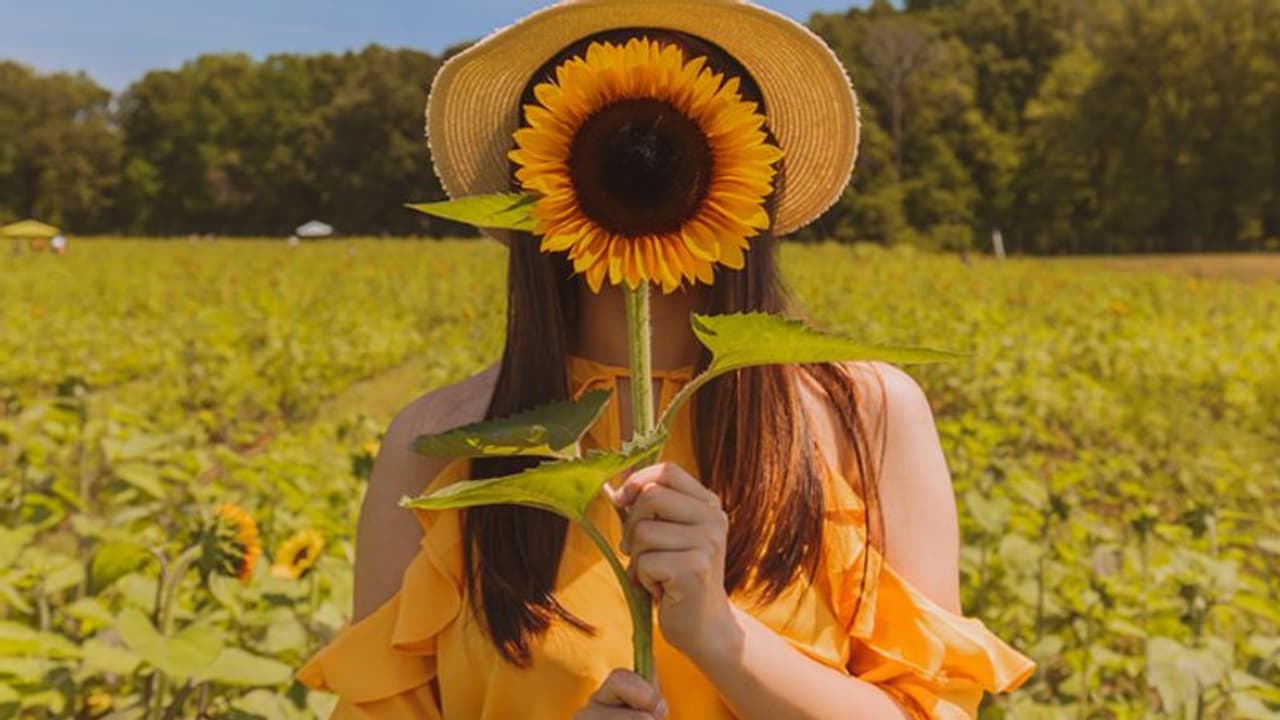 തലമുടി കൊഴിയുന്നുണ്ടോ? ഡയറ്റില്‍ ഉള്‍പ്പെടുത്താം ഈ അഞ്ച് വിത്തുകള്‍... 