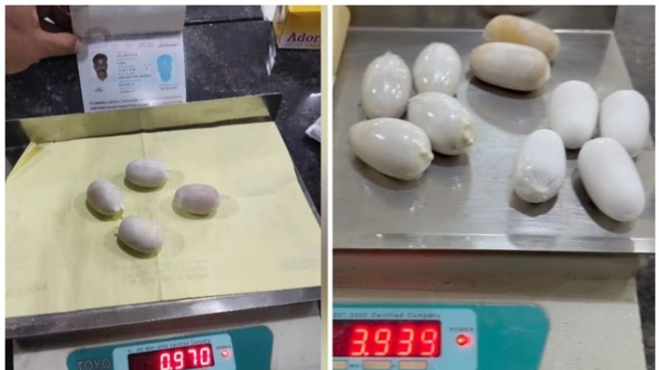 ശരീരത്തിലും ബെഡ്ഷീറ്റിനുള്ളിലും സ്വർണം; കസ്റ്റംസിനെ വെട്ടിച്ച് പുറത്തിറങ്ങിയപ്പോള് ക്വട്ടേഷൻ ടീമുമായി പിടിവലി ശരീരത്തിലും ബെഡ്ഷീറ്റിനുള്ളിലും സ്വർണം; കസ്റ്റംസിനെ വെട്ടിച്ച് പുറത്തിറങ്ങിയപ്പോള് ക്വട്ടേഷൻ ടീമുമായി പിടിവലി