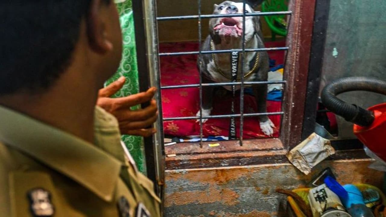 ಪೊಲೀಸರ ಕಂಡರೆ ದಾಳಿ ಮಾಡುವಂತೆ ನಾಯಿಗಳಿಗೆ ಟ್ರೇನಿಂಗ್: ಕೇರಳ ಡ್ರಗ್ಸ್‌ ವ್ಯಾಪಾರಿಯ ಭಯಾನಕ ಕುತಂತ್ರ 