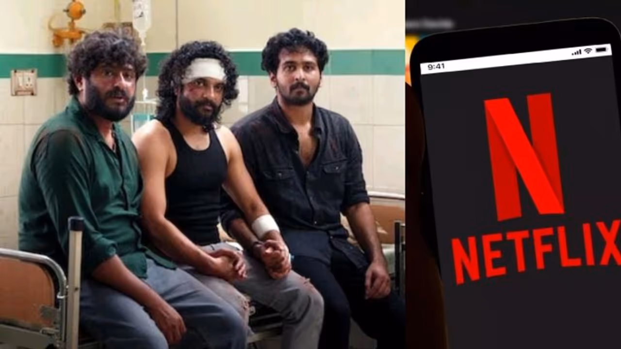 തിയറ്ററുകളിലെ കൈയടി ഒടിടിയില് ലഭിച്ചോ? 'ആര്ഡിഎക്സി'ന്റെ നെറ്റ്ഫ്ലിക്സ് റിലീസിലെ പ്രതികരണം ഇങ്ങനെ തിയറ്ററുകളിലെ കൈയടി ഒടിടിയില് ലഭിച്ചോ? 'ആര്ഡിഎക്സി'ന്റെ നെറ്റ്ഫ്ലിക്സ് റിലീസിലെ പ്രതികരണം ഇങ്ങനെ