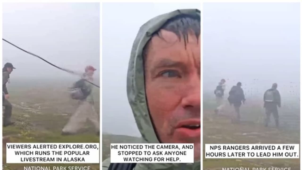 തവിട്ട് കരടികളെ നിരീക്ഷിക്കാനായി സ്ഥാപിച്ച ക്യാമറയില് സഹായം അഭ്യര്ത്ഥിച്ച് സഞ്ചാരി; പിന്നീട് സംഭവിച്ചത് ! തവിട്ട് കരടികളെ നിരീക്ഷിക്കാനായി സ്ഥാപിച്ച ക്യാമറയില് സഹായം അഭ്യര്ത്ഥിച്ച് സഞ്ചാരി; പിന്നീട് സംഭവിച്ചത് !