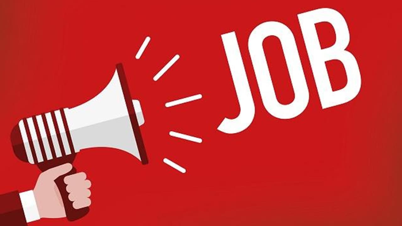 job in up government