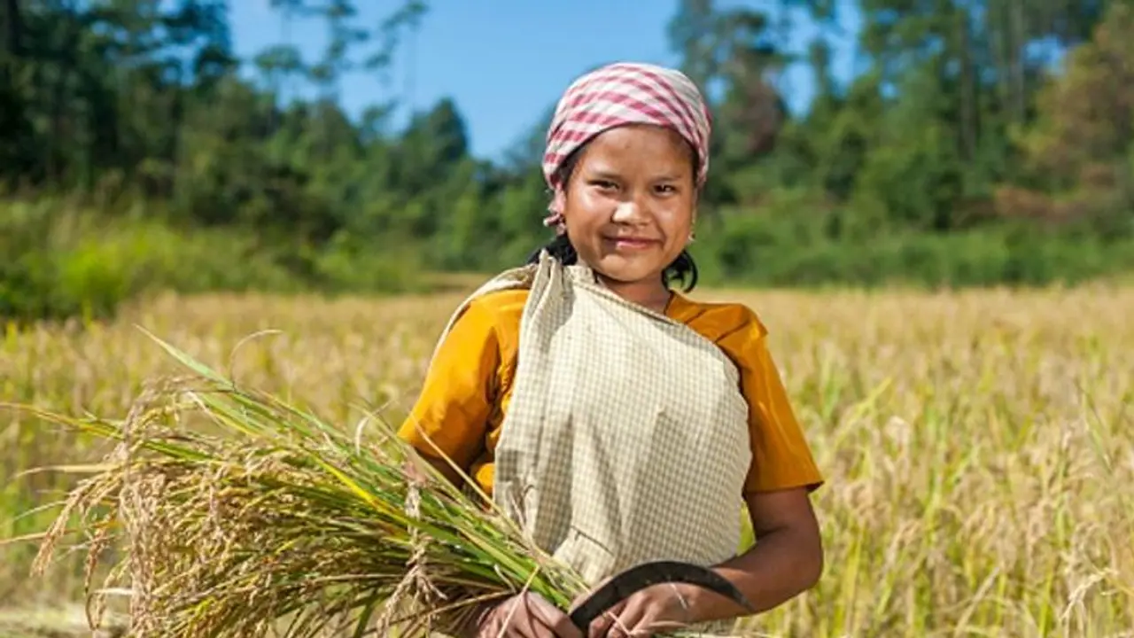 வடகிழக்கு இந்தியா பற்றி உங்களுக்கு தெரியாத சில சுவாரசியமான உண்மைகள்!! வடகிழக்கு இந்தியா பற்றி உங்களுக்கு தெரியாத சில சுவாரசியமான உண்மைகள்!!