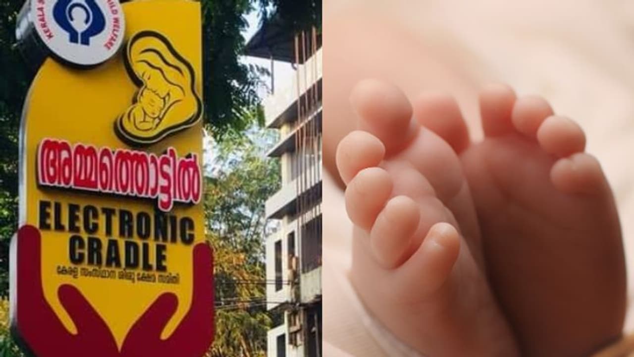 'ഇന്ത്യ'യുടെ വരവറിയിച്ച് മോണിറ്ററിൽ സൈറൺ എത്തി; 'വേനൽ' ഇറങ്ങിയതിന് പിന്നാലെ അമ്മത്തൊട്ടിൽ തണലിലേക്ക് അവനെത്തി