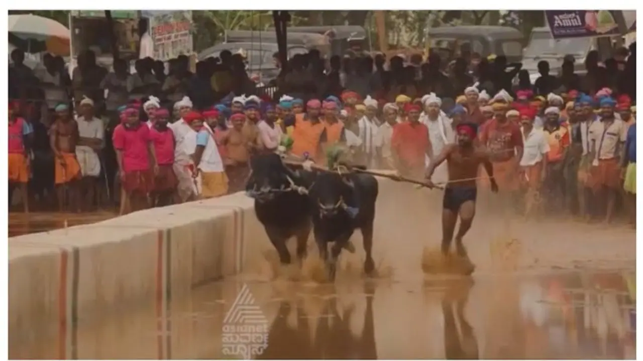 Bengaluru: Kambala on November 25,26; Aishwarya Rai, Anushka Shetty likely to attend 