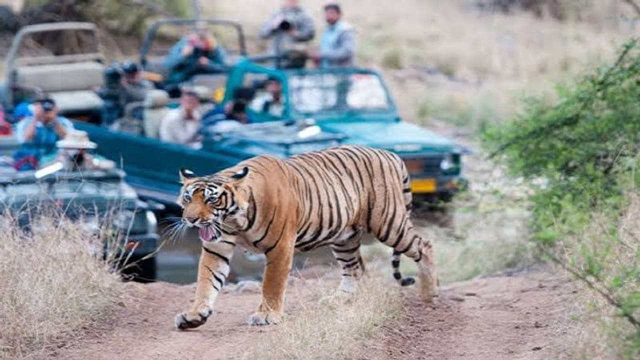 World Tourism Day 2023: सभी Historical Sites में एंट्री फ्री, क्यों सेलिब्रिटी की पंसदीदा जगह बना राजस्थान?