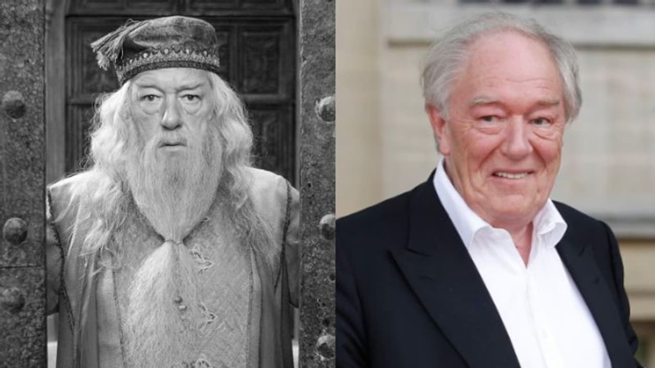 `హ్యారీ పోటర్` నటుడు కన్నుమూత.. శోకసంద్రంలో అభిమానులు `హ్యారీ పోటర్` నటుడు కన్నుమూత.. శోకసంద్రంలో అభిమానులు