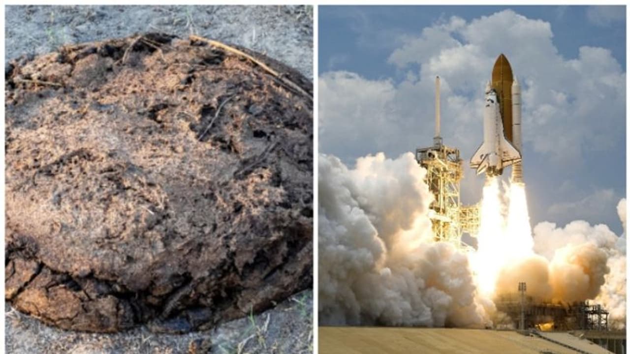 ചാണകത്തില്‍ നിന്നും ഇനി റോക്കറ്റുകള്‍ കുതിക്കും, അമ്പരപ്പിക്കും കണ്ടെത്തല്‍!