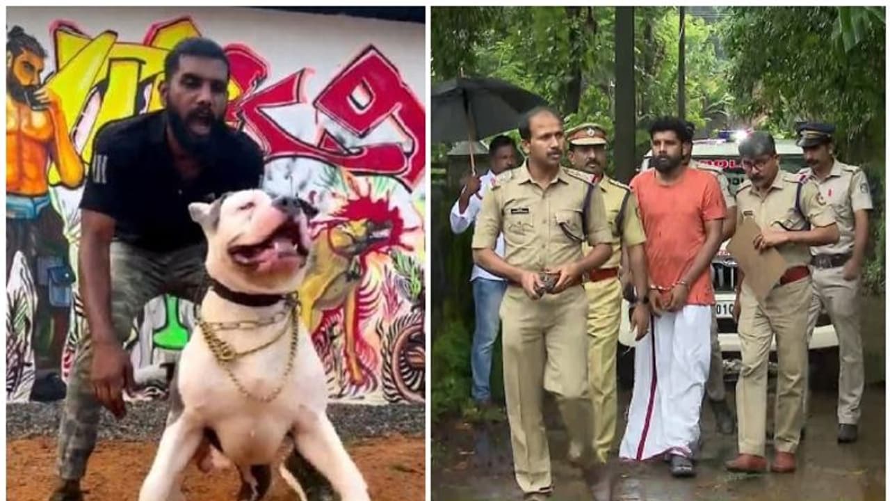 നായ വളര്‍ത്തലിന്‍റെ മറവില്‍ കഞ്ചാവ് കച്ചവടം; തന്നെ കുടുക്കിയതെന്ന് പ്രതി, 'വീട്ടിൽ കഞ്ചാവ് വെച്ചത് സുഹൃത്ത്'
