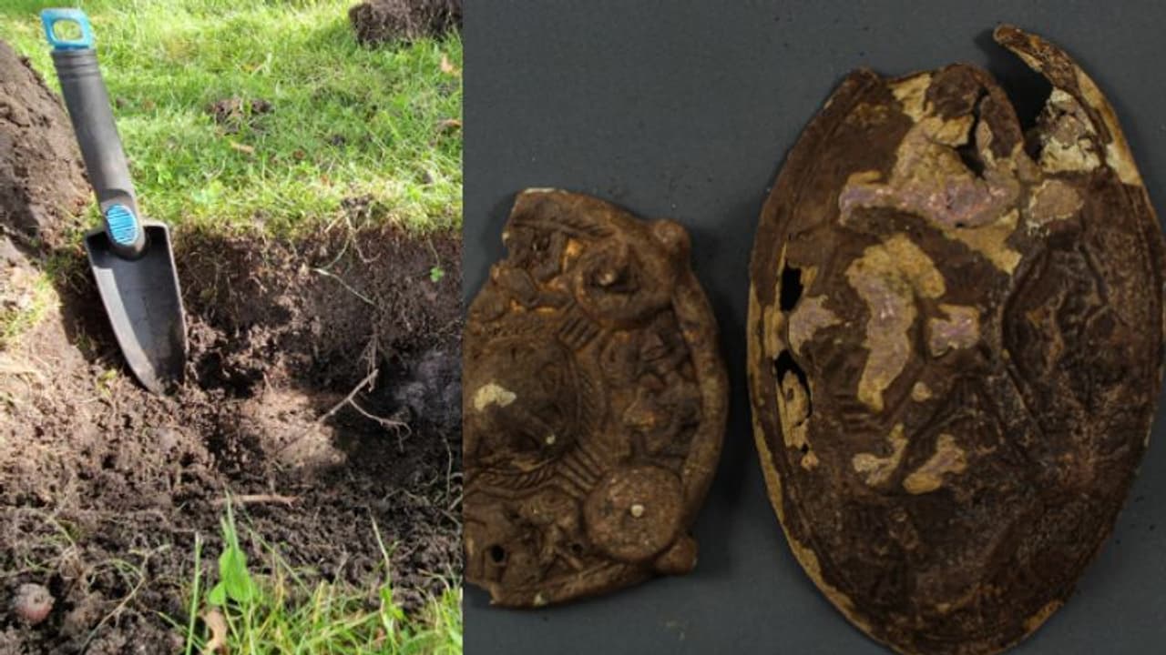 കാണാതായ കമ്മൽ കണ്ടെത്താൻ മെറ്റൽ ഡിറ്റക്ടർ ഉപയോഗിച്ച് പരിശോധന, പൂന്തോട്ടത്തില് കാത്തിരുന്നത് വന് സര്പ്രൈസ് കാണാതായ കമ്മൽ കണ്ടെത്താൻ മെറ്റൽ ഡിറ്റക്ടർ ഉപയോഗിച്ച് പരിശോധന, പൂന്തോട്ടത്തില് കാത്തിരുന്നത് വന് സര്പ്രൈസ്