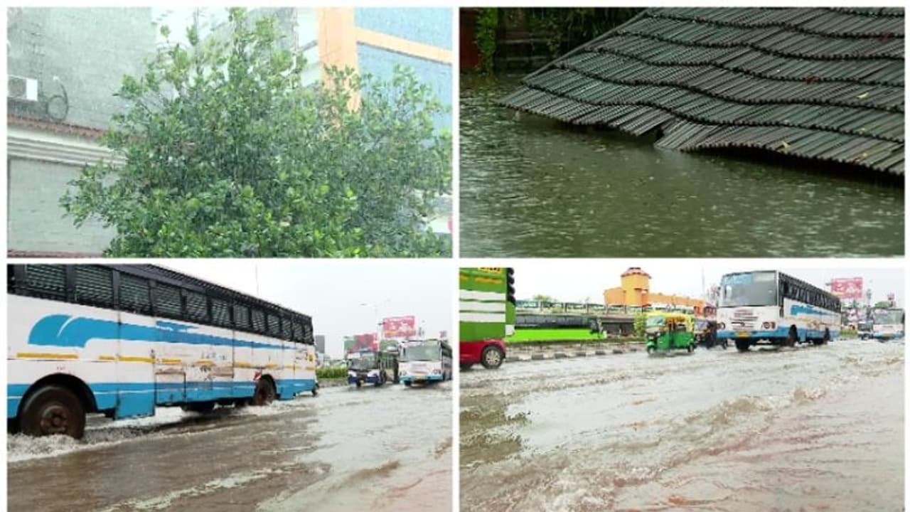 വരുന്നു പെരുമഴക്കാലം; തീവ്രമഴ മുന്നറിയിപ്പ്; ഓറഞ്ച്, യെല്ലോ അലർട്ടുകൾ പ്രഖ്യാപിച്ച ജില്ലകളിവയാണ്... വരുന്നു പെരുമഴക്കാലം; തീവ്രമഴ മുന്നറിയിപ്പ്; ഓറഞ്ച്, യെല്ലോ അലർട്ടുകൾ പ്രഖ്യാപിച്ച ജില്ലകളിവയാണ്...