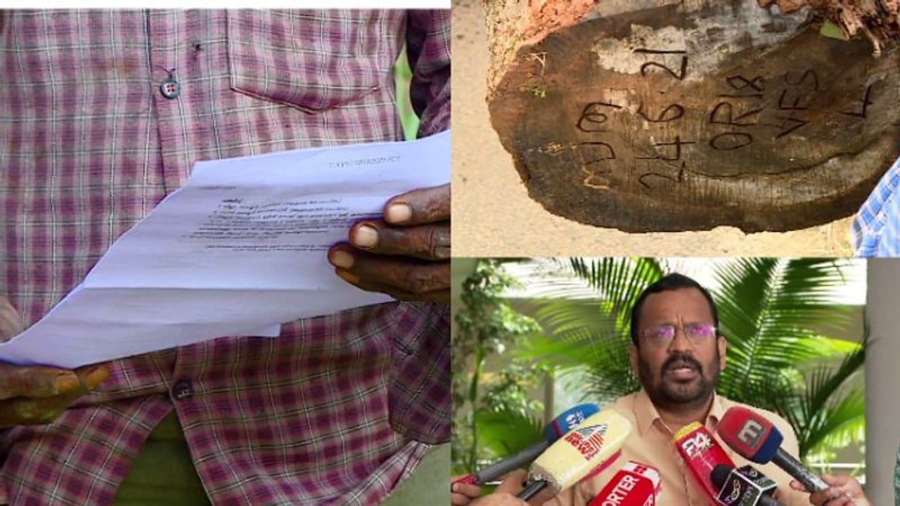 മുട്ടിൽ മരം മുറി:'ആദിവാസി ഭൂവുടമകൾക്ക് പിഴ ചുമത്തിയ നടപടി പുനപരിശോധിക്കും, പരാതികളിൽ കളക്ടർ തീരുമാനമെടുക്കും' മുട്ടിൽ മരം മുറി:'ആദിവാസി ഭൂവുടമകൾക്ക് പിഴ ചുമത്തിയ നടപടി പുനപരിശോധിക്കും, പരാതികളിൽ കളക്ടർ തീരുമാനമെടുക്കും'