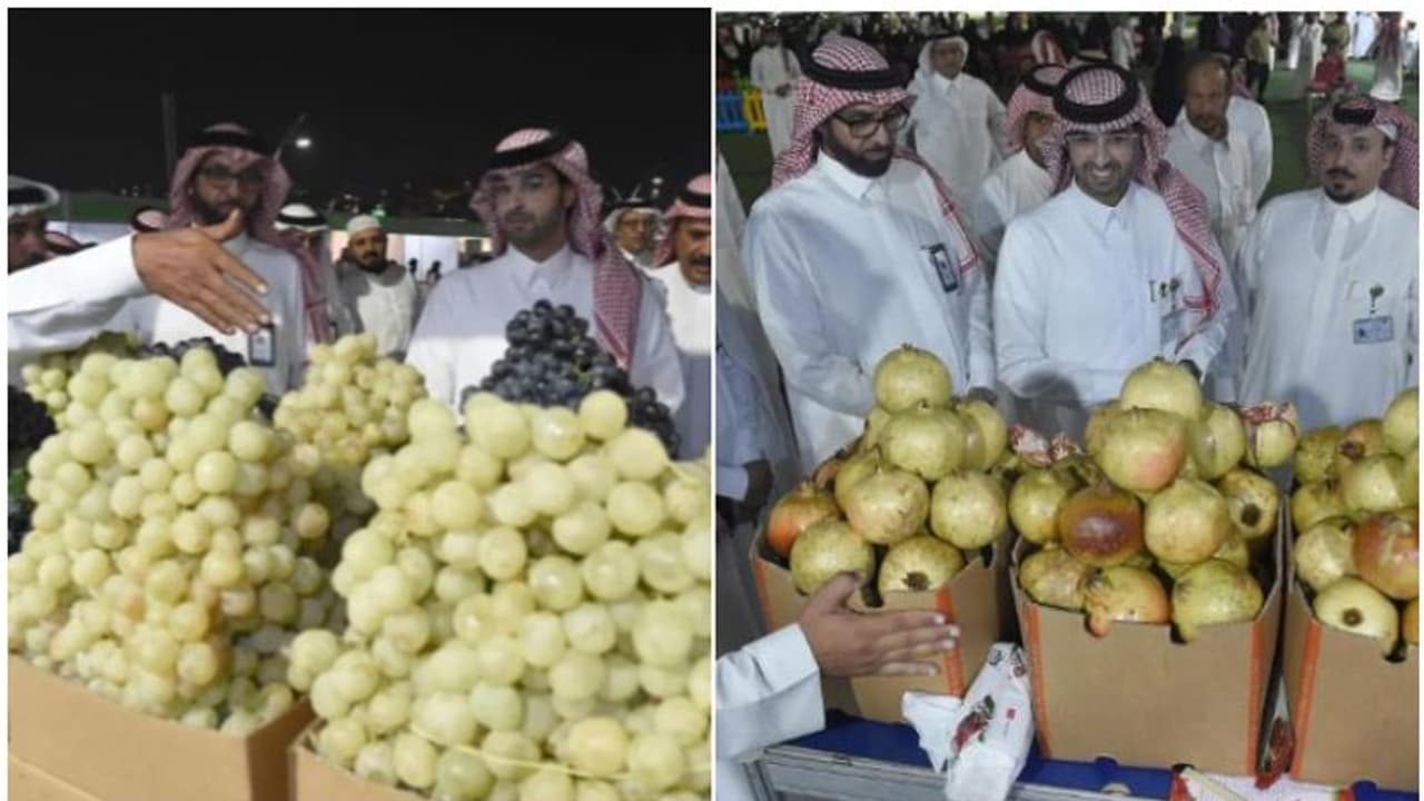 സൗദി അറേബ്യയില് മുന്തിരി, മാതളനാരങ്ങ ഫെസ്റ്റിവലിന് തുടക്കം സൗദി അറേബ്യയില് മുന്തിരി, മാതളനാരങ്ങ ഫെസ്റ്റിവലിന് തുടക്കം