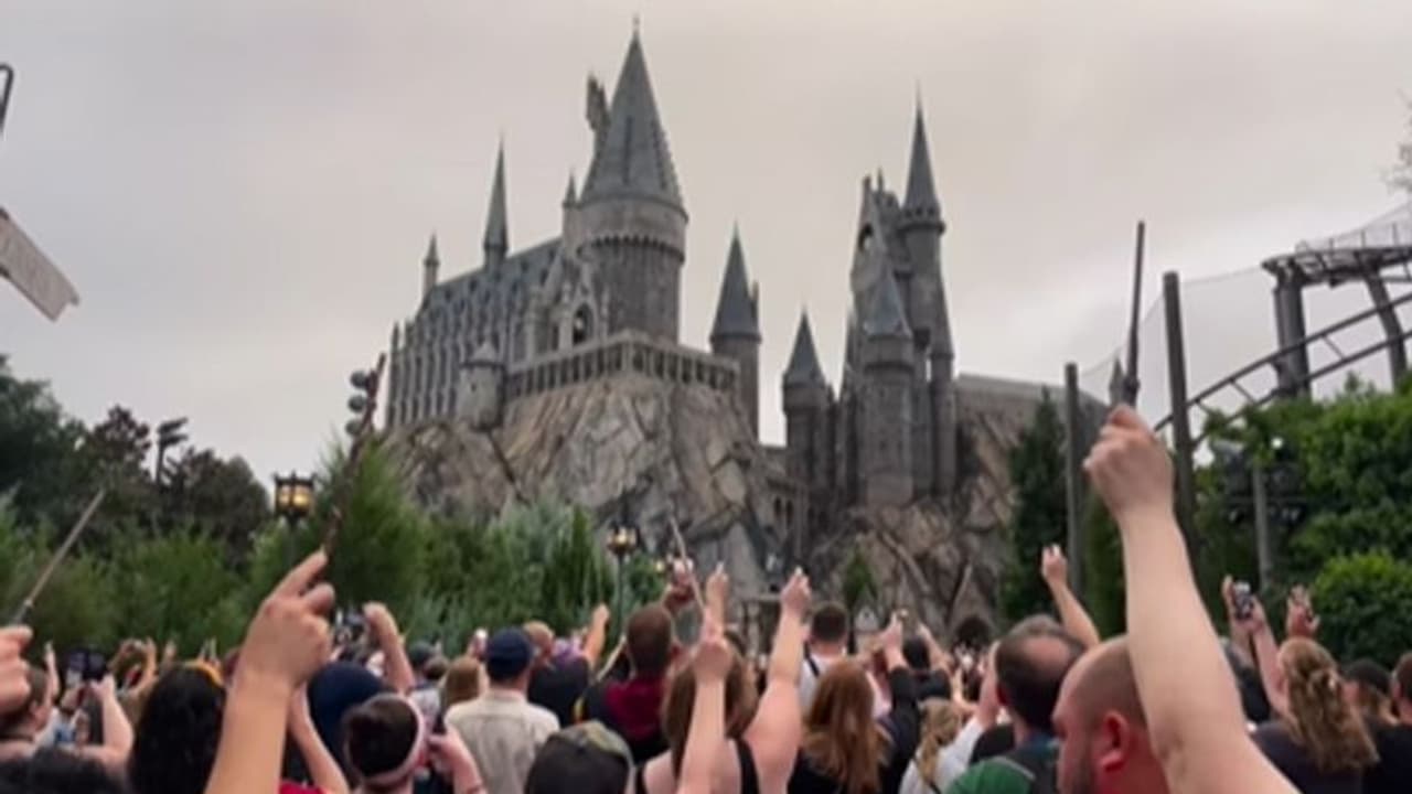 Harry Potter fans pay tribute to Michael Gambon at Hogwarts Castle in a unique way | WATCH Harry Potter fans pay tribute to Michael Gambon at Hogwarts Castle in a unique way | WATCH
