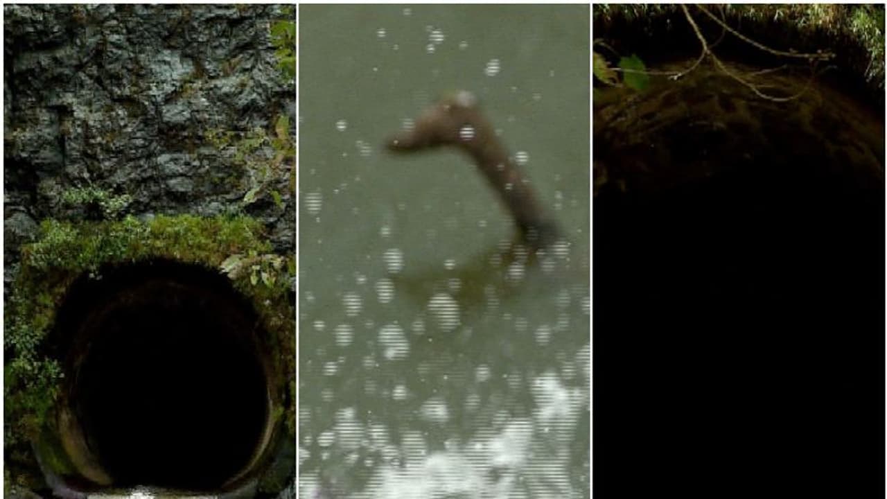 ഉള്ളിൽ പതിയിരിക്കുന്നത് വലിയ അപകടങ്ങൾ! പണിക്കിടയിൽ മരിച്ചത് 22 പേർ; ചരിത്രമറിഞ്ഞ് അഞ്ചുരുളി ടണൽ കാണാൻ പോകാം ഉള്ളിൽ പതിയിരിക്കുന്നത് വലിയ അപകടങ്ങൾ! പണിക്കിടയിൽ മരിച്ചത് 22 പേർ; ചരിത്രമറിഞ്ഞ് അഞ്ചുരുളി ടണൽ കാണാൻ പോകാം