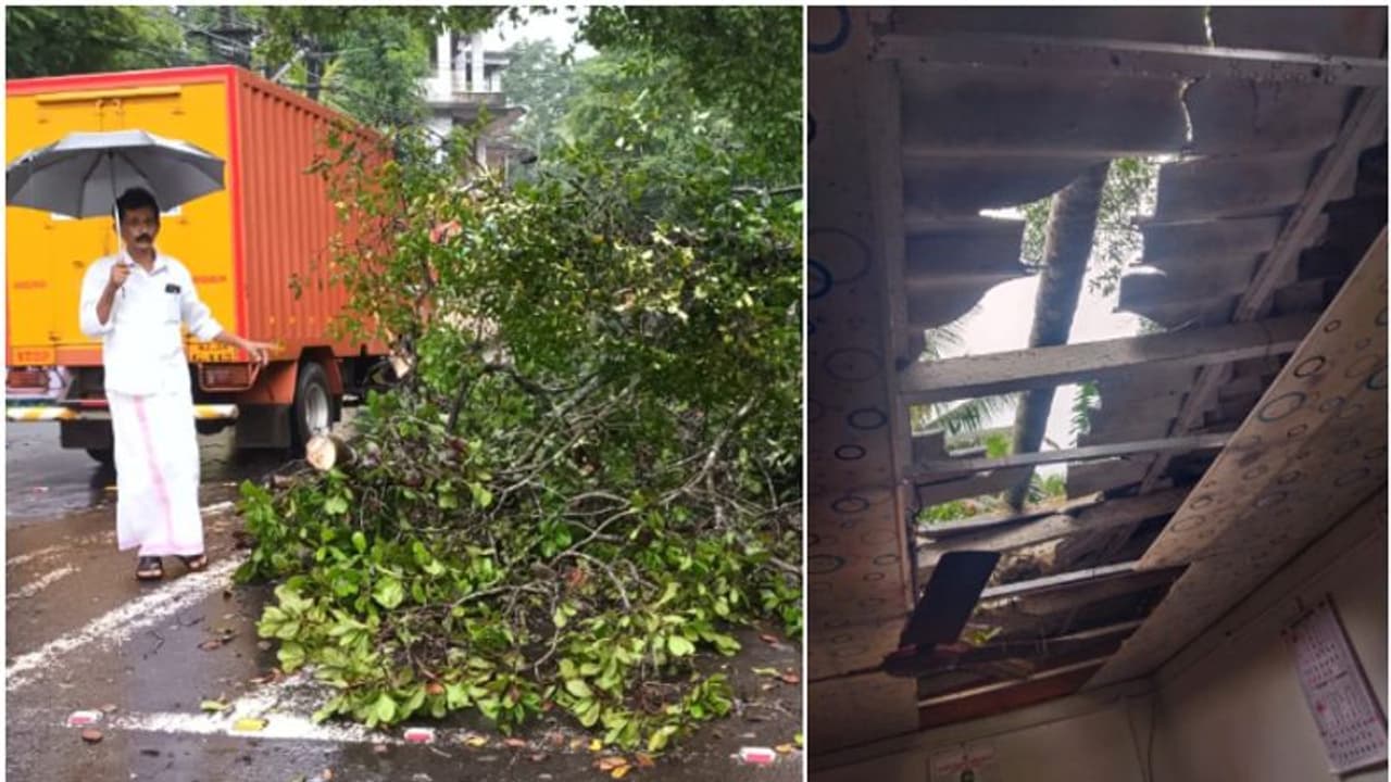 കോട്ടയത്ത് ശക്തമായ കാറ്റും മഴയും; വ്യാപക നാശനഷ്ടം, മരം വീണ് ഗതാഗത തടസം കോട്ടയത്ത് ശക്തമായ കാറ്റും മഴയും; വ്യാപക നാശനഷ്ടം, മരം വീണ് ഗതാഗത തടസം