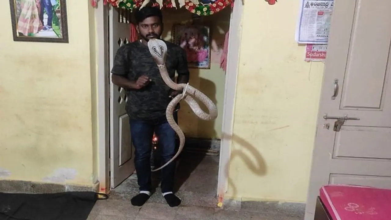 ತುಮಕೂರು: ದೇವರ ಕೋಣೆಯಲ್ಲಿ ಅಡಗಿ ಕುಳಿತಿದ್ದ ಬೃಹತ್ ಗಾತ್ರದ ನಾಗರಹಾವು, ಬೆಚ್ಚಿಬಿದ್ದ ಜನ..! ತುಮಕೂರು: ದೇವರ ಕೋಣೆಯಲ್ಲಿ ಅಡಗಿ ಕುಳಿತಿದ್ದ ಬೃಹತ್ ಗಾತ್ರದ ನಾಗರಹಾವು, ಬೆಚ್ಚಿಬಿದ್ದ ಜನ..!