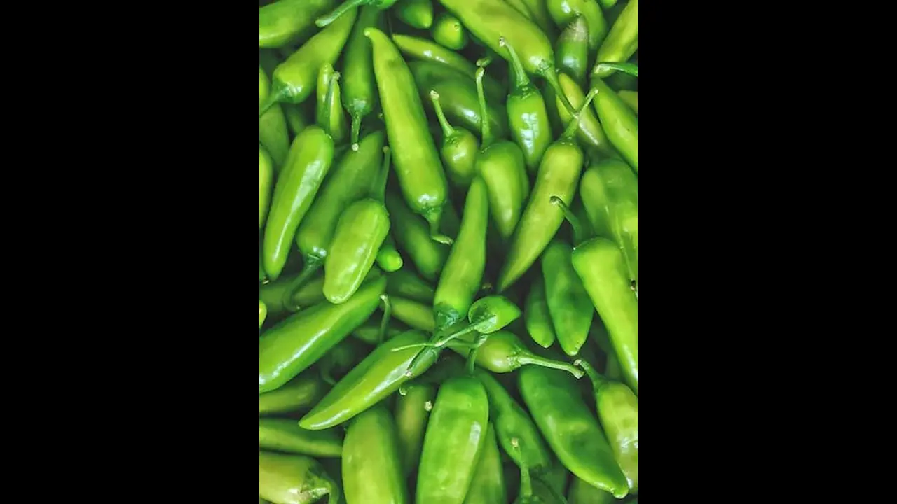 7 reasons why should you eat chilies in Winters 7 reasons why should you eat chilies in Winters