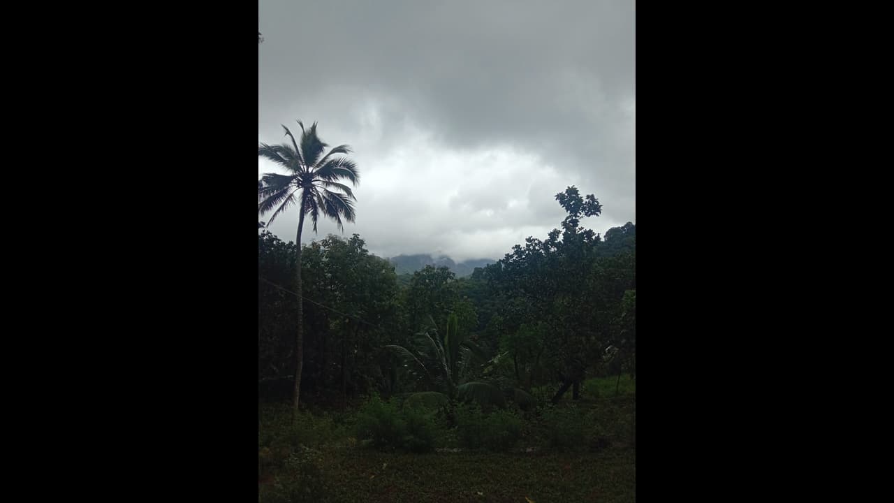 Kerala News Highlights: Heavy rains to continue in Kerala; Yellow alert in 2 districts