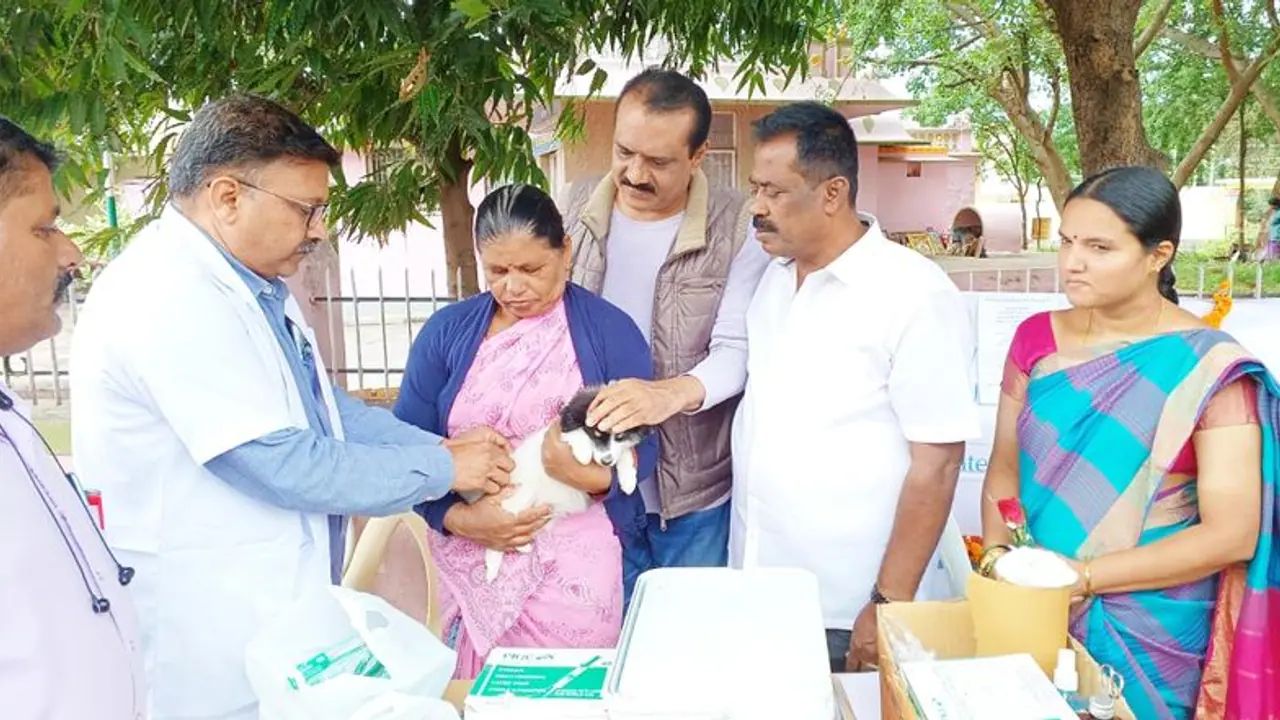 ಮೈಸೂರು : ಸಾಕು ಪ್ರಾಣಿಗಳಿಗೆ ಉಚಿತ ರೇಬೀಸ್ ಲಸಿಕಾ ಅಭಿಯಾನ ಮೈಸೂರು : ಸಾಕು ಪ್ರಾಣಿಗಳಿಗೆ ಉಚಿತ ರೇಬೀಸ್ ಲಸಿಕಾ ಅಭಿಯಾನ