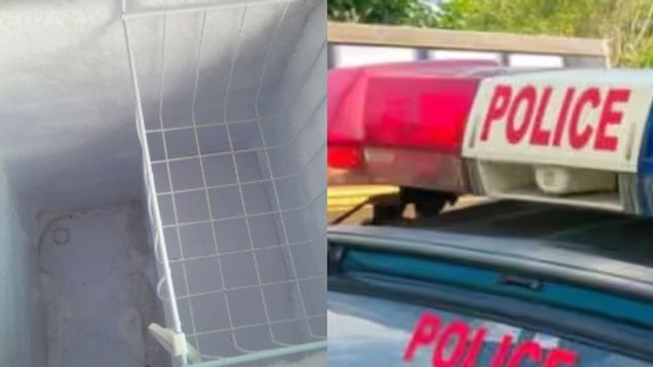 ഡീപ് ഫ്രീസറില് 15 കിലോ ഇറച്ചി; 69കാരന് കസ്റ്റഡിയില് ഡീപ് ഫ്രീസറില് 15 കിലോ ഇറച്ചി; 69കാരന് കസ്റ്റഡിയില്