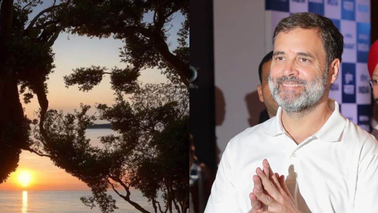 വൈറലായി രാഹുല് ഗാന്ധിയുടെ ഫോട്ടോ; ഓസ്ട്രേലിയന് ടൂറിസ്റ്റ് പകര്ത്തിയ ചിത്രത്തിന് പിന്നില്? Fact Check വൈറലായി രാഹുല് ഗാന്ധിയുടെ ഫോട്ടോ; ഓസ്ട്രേലിയന് ടൂറിസ്റ്റ് പകര്ത്തിയ ചിത്രത്തിന് പിന്നില്? Fact Check