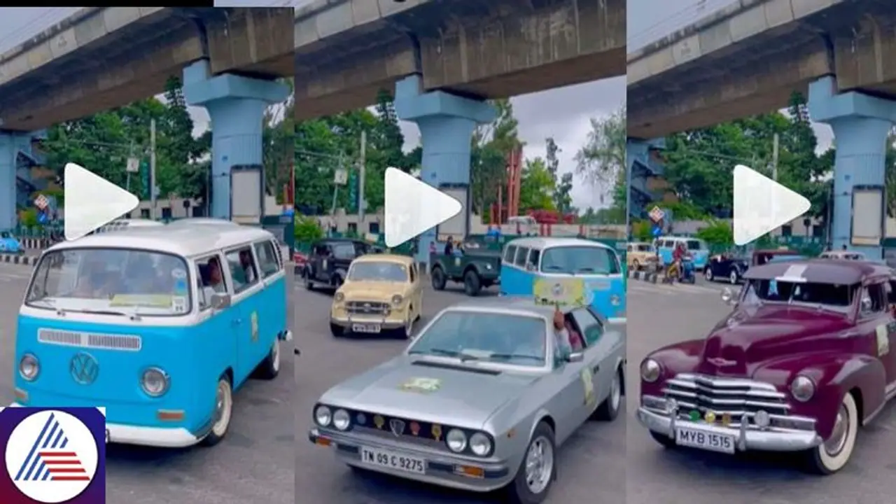 Bengaluru's vintage car rally drives home message of wildlife conservation WATCH Bengaluru's vintage car rally drives home message of wildlife conservation WATCH