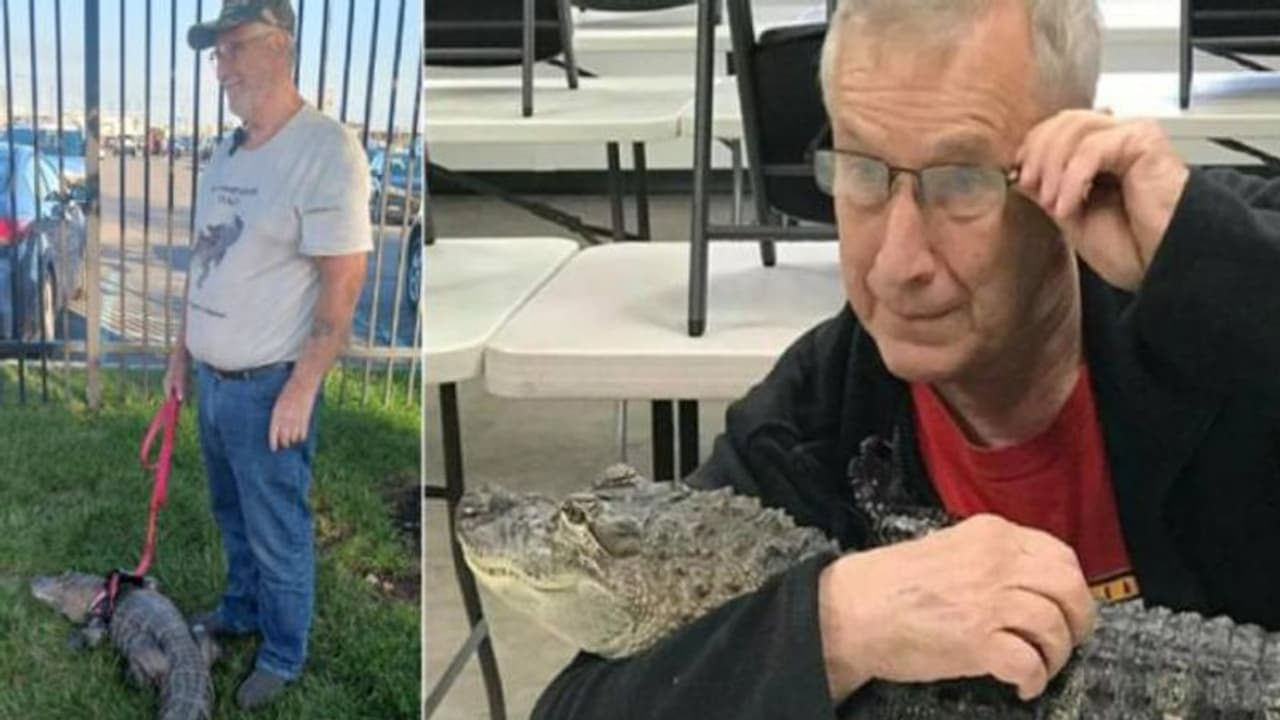 തന്റെ ചീങ്കണ്ണിയേയും കൊണ്ട് ബേസ്ബോൾ ​ഗെയിം കാണാനെത്തി ആരാധകൻ, പ്രവേശനം കിട്ടാതെ നിരാശനായി മടക്കം