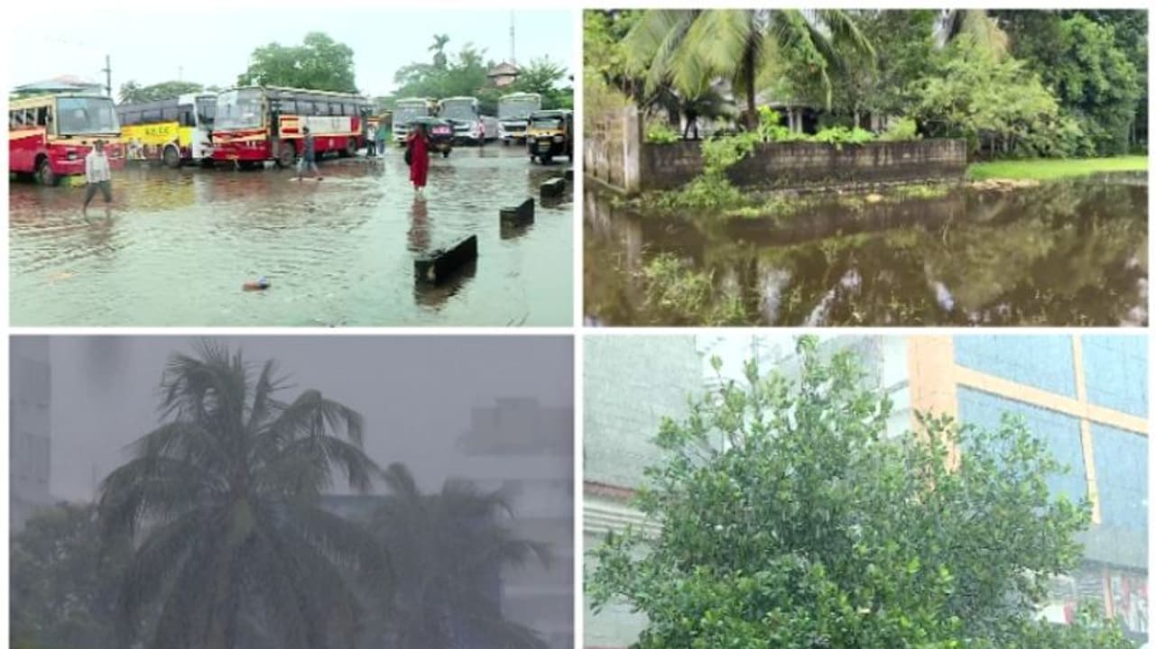 ഇന്നും മഴ പെയ്യും, ഒറ്റപ്പെട്ടയിടങ്ങളിൽ മഴ ശക്തമായേക്കും; ജാഗ്രത തുടരണം, പ്രത്യേക മഴ മുന്നറിയിപ്പില്ല ഇന്നും മഴ പെയ്യും, ഒറ്റപ്പെട്ടയിടങ്ങളിൽ മഴ ശക്തമായേക്കും; ജാഗ്രത തുടരണം, പ്രത്യേക മഴ മുന്നറിയിപ്പില്ല