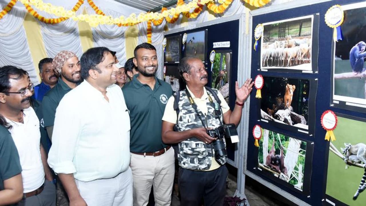 Mysuru : ಮೃಗಾಲಯದ ಛಾಯಾಚಿತ್ರ ಸ್ಪರ್ಧೆ ವಿಜೇತರ ಪಟ್ಟಿ ಪ್ರಕಟ Mysuru : ಮೃಗಾಲಯದ ಛಾಯಾಚಿತ್ರ ಸ್ಪರ್ಧೆ ವಿಜೇತರ ಪಟ್ಟಿ ಪ್ರಕಟ