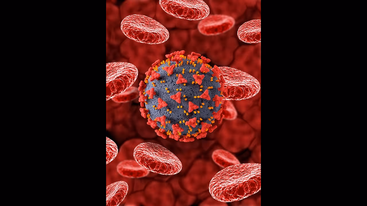 രാജ്യത്തെ 89 ശതമാനം കൊവിഡ് കേസുകളും കേരളത്തിലെന്ന് കണക്ക്; ജെഎൻ1 ആശങ്കയുണർത്തുന്നത്, ജാഗ്രത വേണമെന്ന് വിദഗ്ധർ രാജ്യത്തെ 89 ശതമാനം കൊവിഡ് കേസുകളും കേരളത്തിലെന്ന് കണക്ക്; ജെഎൻ1 ആശങ്കയുണർത്തുന്നത്, ജാഗ്രത വേണമെന്ന് വിദഗ്ധർ