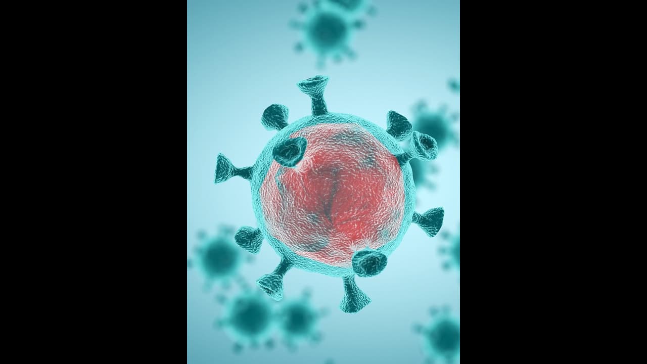 ಕೊರೋನಾ JN.1 ರೂಪಾಂತರದ ಆತಂಕದ ನಡುವೆ ಭಾರತದಲ್ಲಿ 11 ಹೊಸ ಕೋವಿಡ್ ಕೇಸ್! ಕೊರೋನಾ JN.1 ರೂಪಾಂತರದ ಆತಂಕದ ನಡುವೆ ಭಾರತದಲ್ಲಿ 11 ಹೊಸ ಕೋವಿಡ್ ಕೇಸ್!