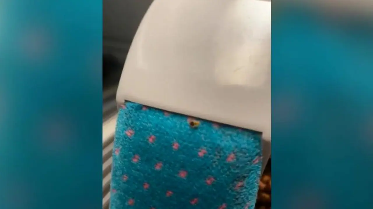 From hotels to public transport, bedbug infestation plagues Paris as city prepares for 2024 Olympics WATCH From hotels to public transport, bedbug infestation plagues Paris as city prepares for 2024 Olympics WATCH