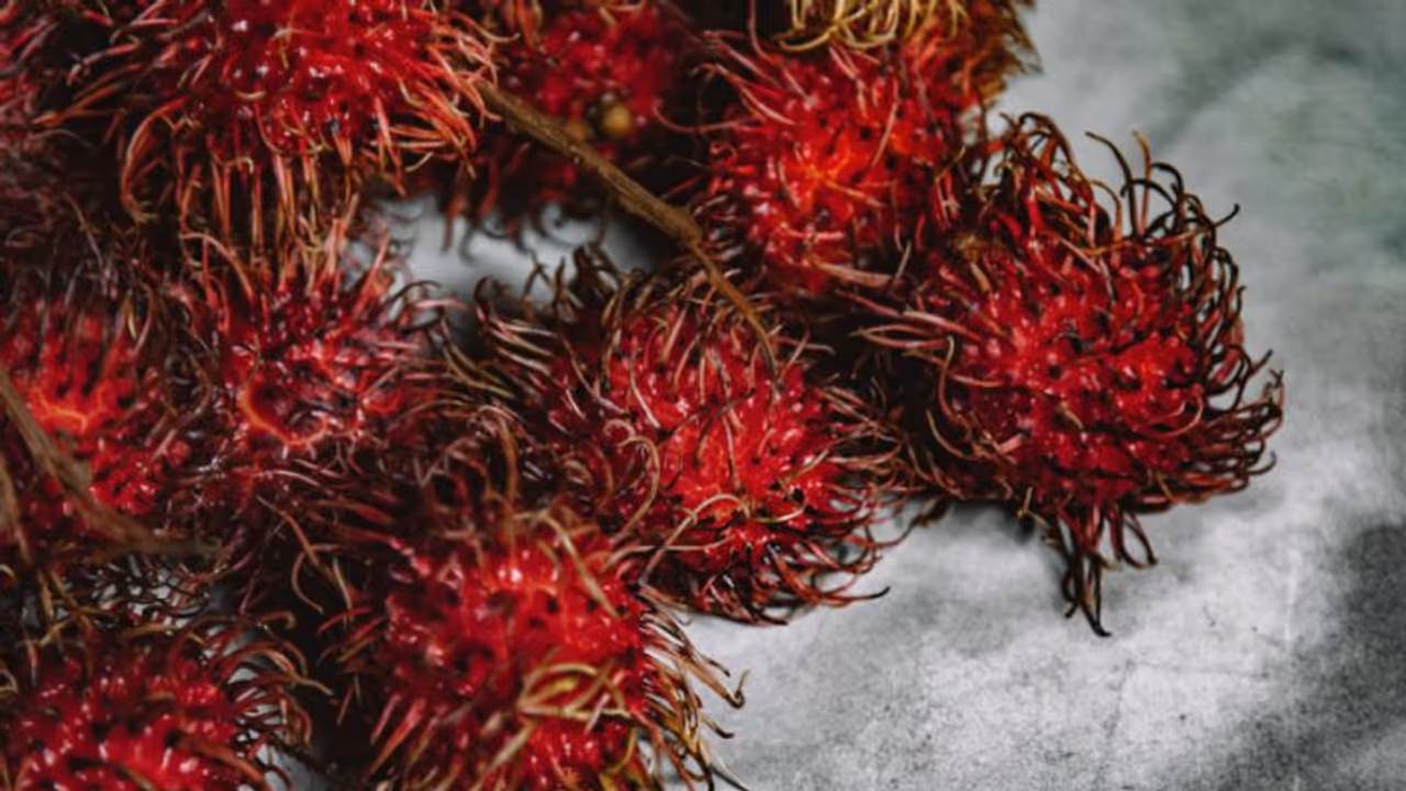 റംബൂട്ടാന് കഴിക്കാറുണ്ടോ? എങ്കില്, നിങ്ങളറിയേണ്ടത്... റംബൂട്ടാന് കഴിക്കാറുണ്ടോ? എങ്കില്, നിങ്ങളറിയേണ്ടത്...