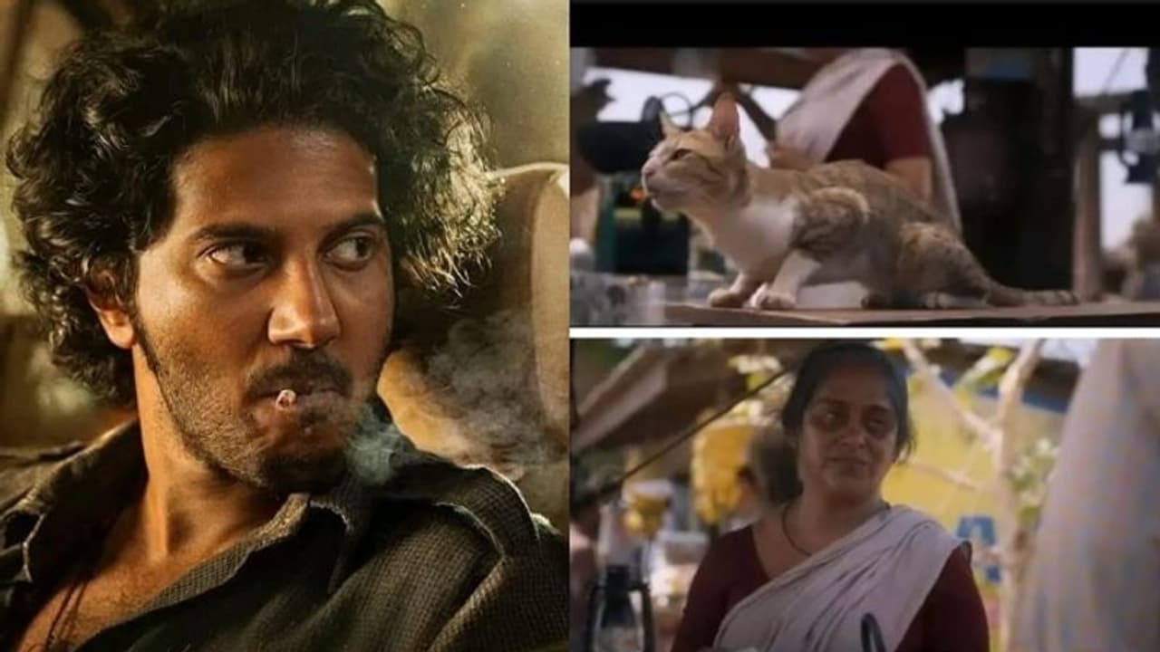 രാജുവിനെ കൊന്ന് പൂച്ചയെ രക്ഷിച്ച കാളിക്കുട്ടി; തെറിയും പരിഹാസവും, പ്രതികരിച്ച് സജിത മഠത്തിൽ