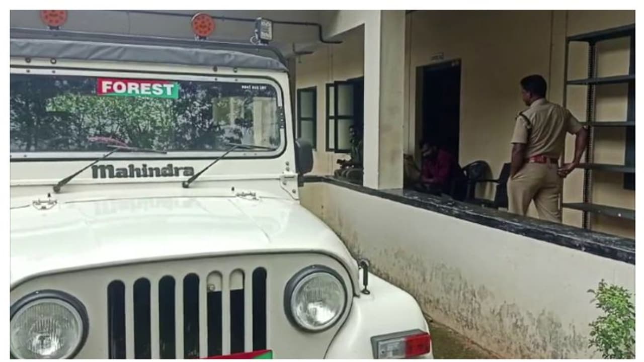 മാനിനെ പിടിച്ചു അറുത്ത് കറിവെക്കാൻ ശ്രമം; ഓടി രക്ഷപ്പെട്ട രണ്ടുപേർ കീഴടങ്ങി മാനിനെ പിടിച്ചു അറുത്ത് കറിവെക്കാൻ ശ്രമം; ഓടി രക്ഷപ്പെട്ട രണ്ടുപേർ കീഴടങ്ങി