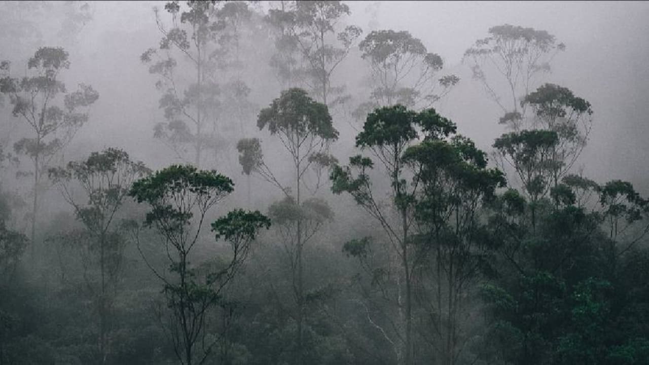 ರೈತರಿಗೆ ಶುಭಸುದ್ದಿ ಕೊಟ್ಟ ಹವಾಮಾನ ಇಲಾಖೆ: ರಾಜ್ಯದಲ್ಲಿ ಶೇ.50ರಷ್ಟು ಹಿಂಗಾರು ಮಳೆ ಸಂಭವ