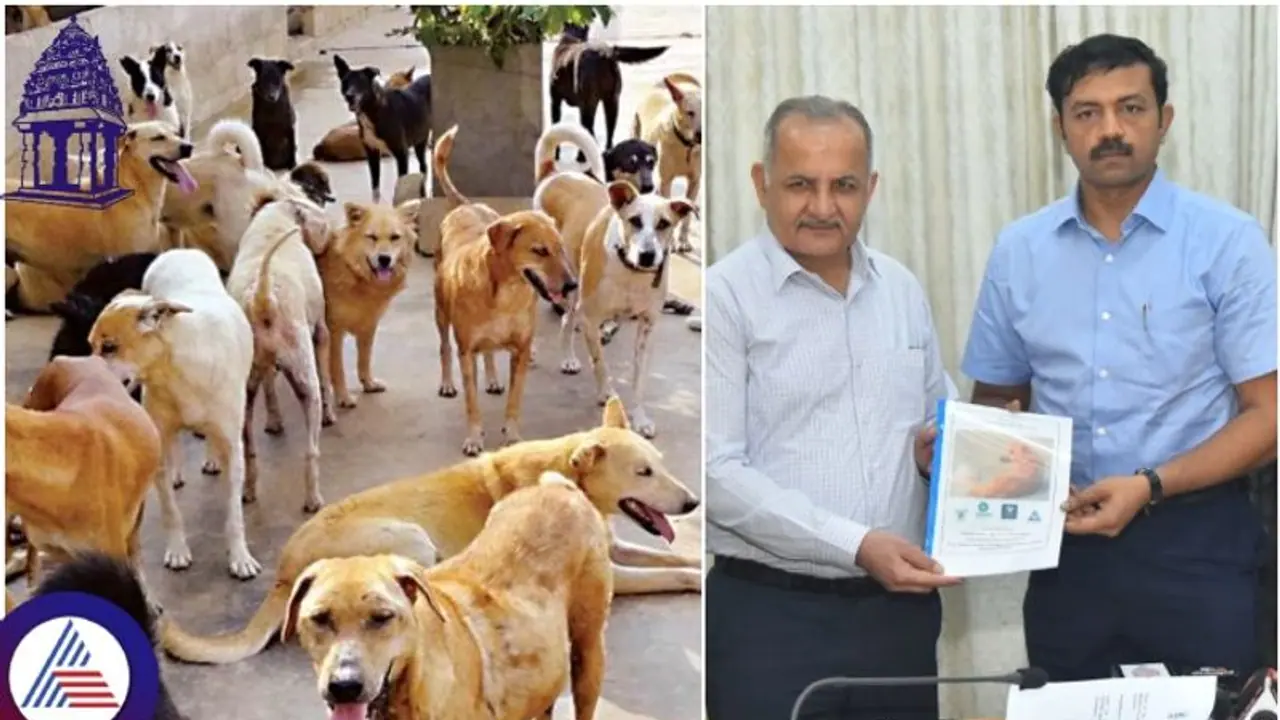 BBMP survey reveals 2.79 lakh stray dogs roaming Bengaluru streets