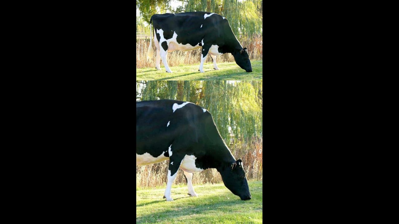 ஷாக்! உணவுக்காக ஒவ்வொரு ஆண்டும் அதிகம் கொல்லப்படும் உயிரினம் இதுவா..?