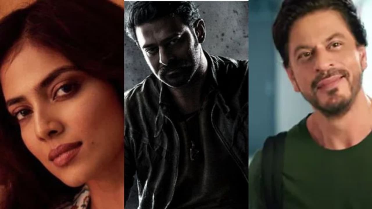 ഡങ്കിയോ സലാറോ? മാളവിക മോഹനൻ പറഞ്ഞതു കേട്ട് രണ്ട് തട്ടിലായി ആരാധകര്‍