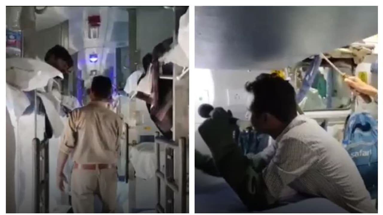 ട്രെയിനിലെ എസി കോച്ചില് പാമ്പ്, പേടിച്ചരണ്ട് യാത്രക്കാര്; അരിച്ചുപെറുക്കി ഫോറസ്റ്റ് ഉദ്യോഗസ്ഥര്, ഒടുവില്.. ട്രെയിനിലെ എസി കോച്ചില് പാമ്പ്, പേടിച്ചരണ്ട് യാത്രക്കാര്; അരിച്ചുപെറുക്കി ഫോറസ്റ്റ് ഉദ്യോഗസ്ഥര്, ഒടുവില്..