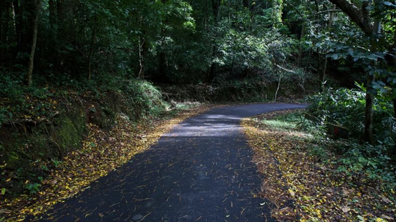 'കൊടുംവനത്തിലൂടെ കുംഭാവുരുട്ടിയിലേക്ക്, നിരക്ക് തുച്ഛം'; യാത്രാസംവിധാനമൊരുക്കി കെഎസ്ആര്ടിസി 'കൊടുംവനത്തിലൂടെ കുംഭാവുരുട്ടിയിലേക്ക്, നിരക്ക് തുച്ഛം'; യാത്രാസംവിധാനമൊരുക്കി കെഎസ്ആര്ടിസി