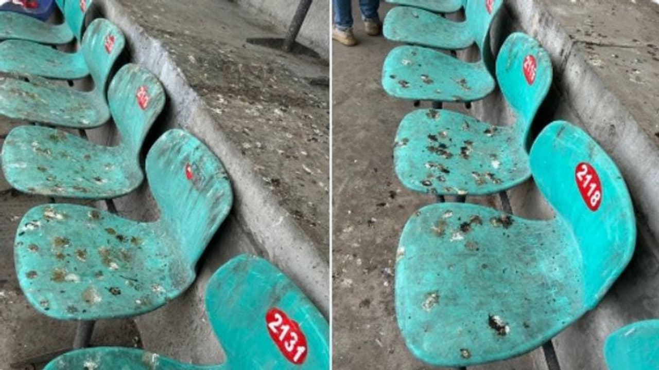 CWC 2023: பராமரிப்பின்றி இருக்கும் இருக்கைகள்; இதுல அமர்ந்து கிரிக்கெட் பார்க்க வேண்டிய நிலையில் ரசிகர்கள்?