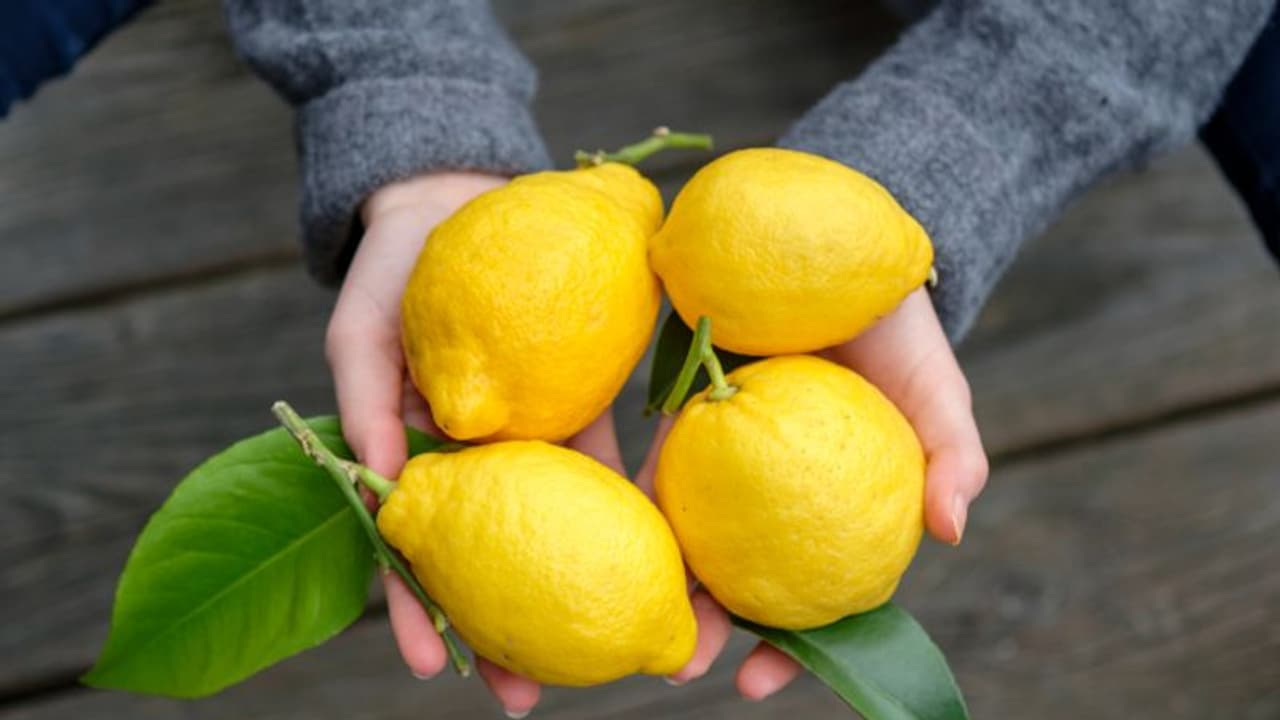 നാരങ്ങയോടൊപ്പം ഈ അഞ്ച് ഭക്ഷണങ്ങള് കഴിക്കരുതേ... നാരങ്ങയോടൊപ്പം ഈ അഞ്ച് ഭക്ഷണങ്ങള് കഴിക്കരുതേ...